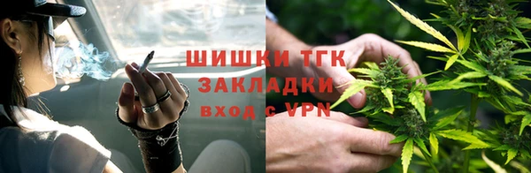 дмт Горнозаводск