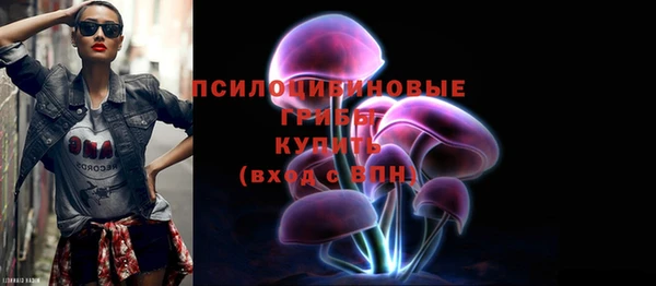 дмт Горнозаводск