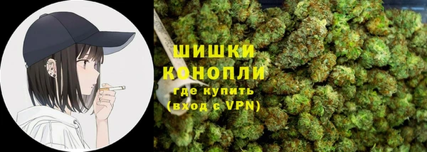 дмт Горнозаводск
