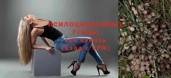 мескалин Гусиноозёрск